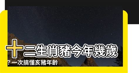 屬豬年份|屬豬今年幾歲｜屬豬民國年次、豬年西元年